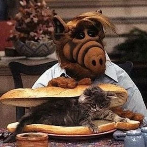 Meet your Posher, Jacob - Picture 1 of 1